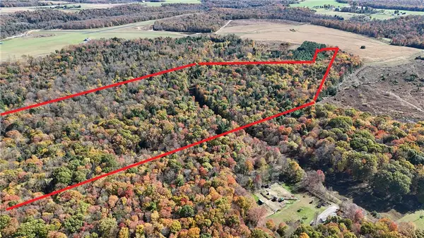 50 Acres Along Bird Lane, Strongstown, PA 15957