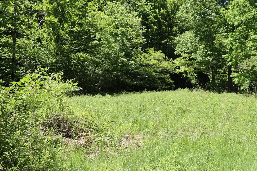 193 Creek Rd, Bolivar, PA 15923 - #1