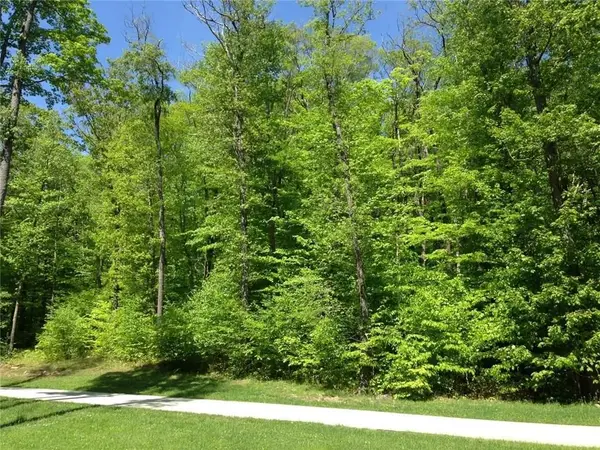 Lot 28 Grouse Point, Champion, PA 15622