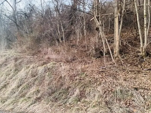 000 Virginia Ave, Midland, PA 15059 - #3