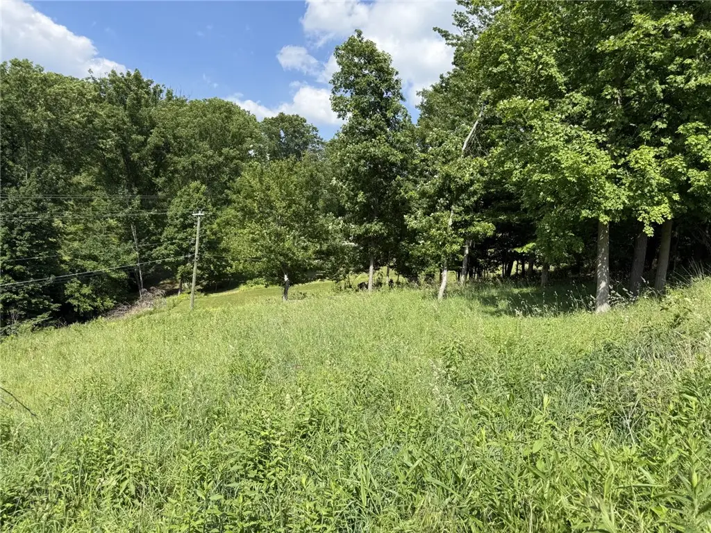 Lots 206 and 208 Old Woods Drive, McMurray, PA 15317 - #1