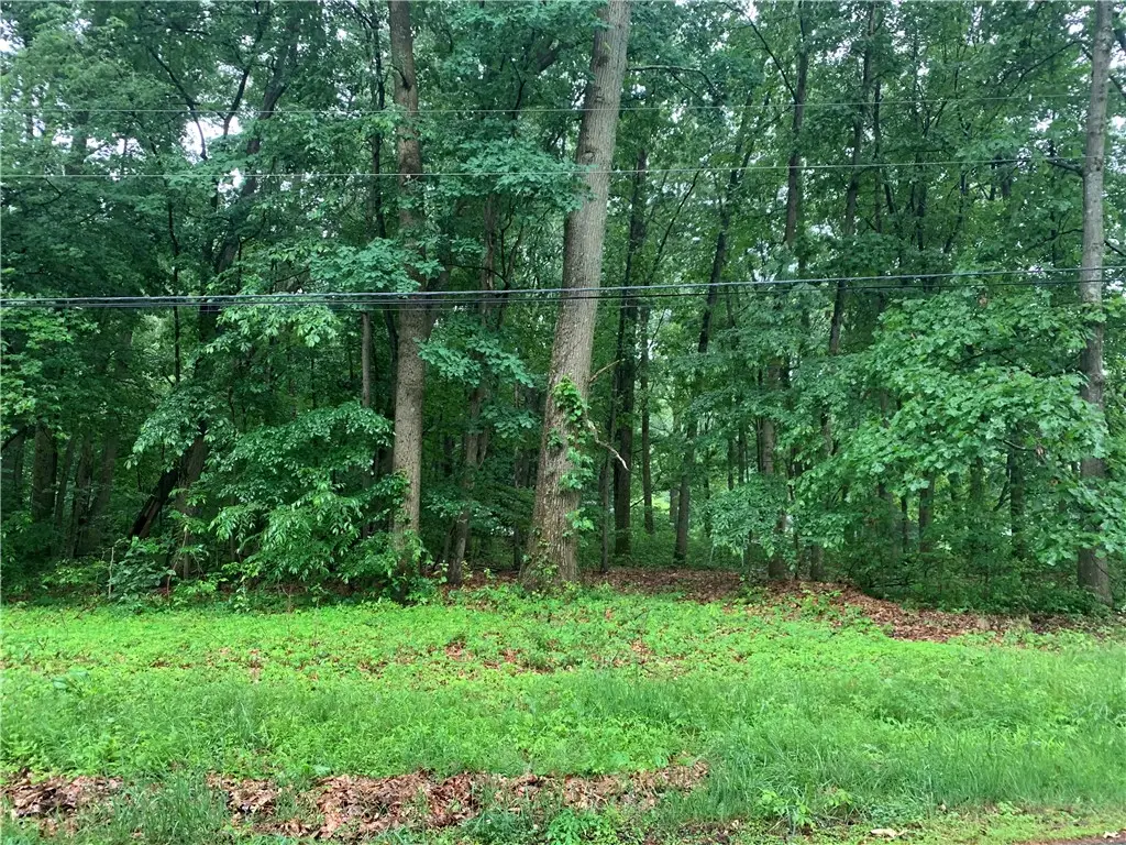 Lot 37 Rt 68, Renfrew, PA 16053 - #1