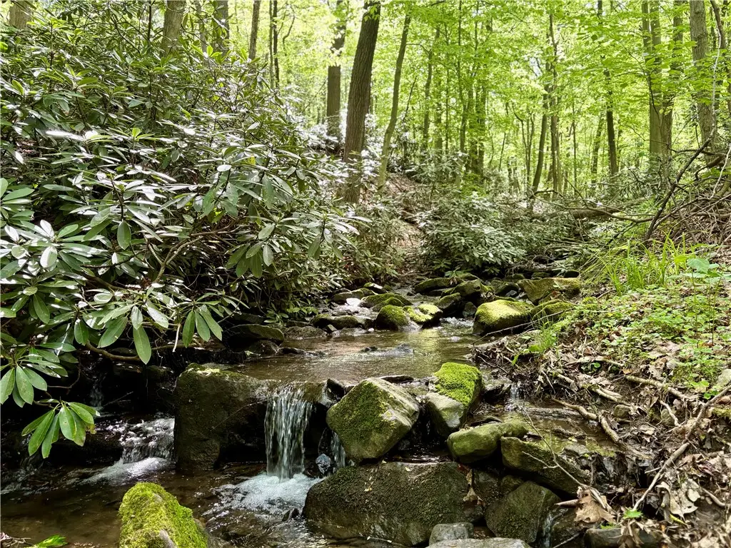 Lot 1C Cottonwood Rd, Acme, PA 15610 - #1
