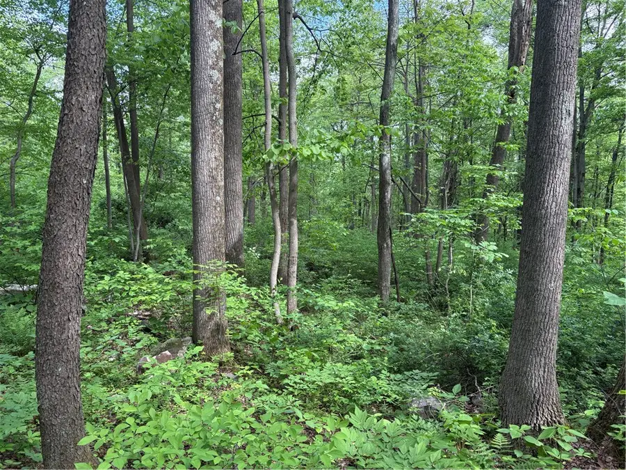 Lot 1C Cottonwood Rd, Acme, PA 15610 - #2