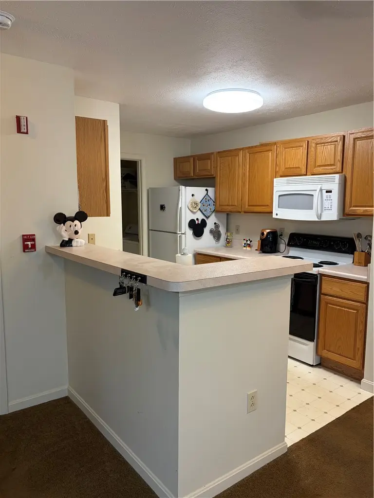 2106 Lenox Dr, Bethel Park, PA 15102 - #3