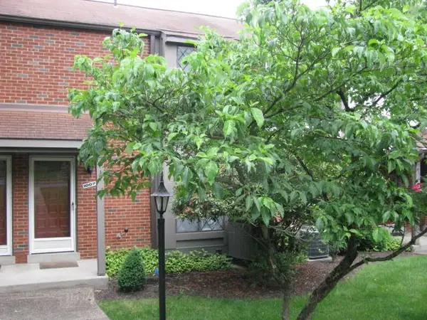 1007 Sewickley Heights Dr, Sewickley, PA 15143
