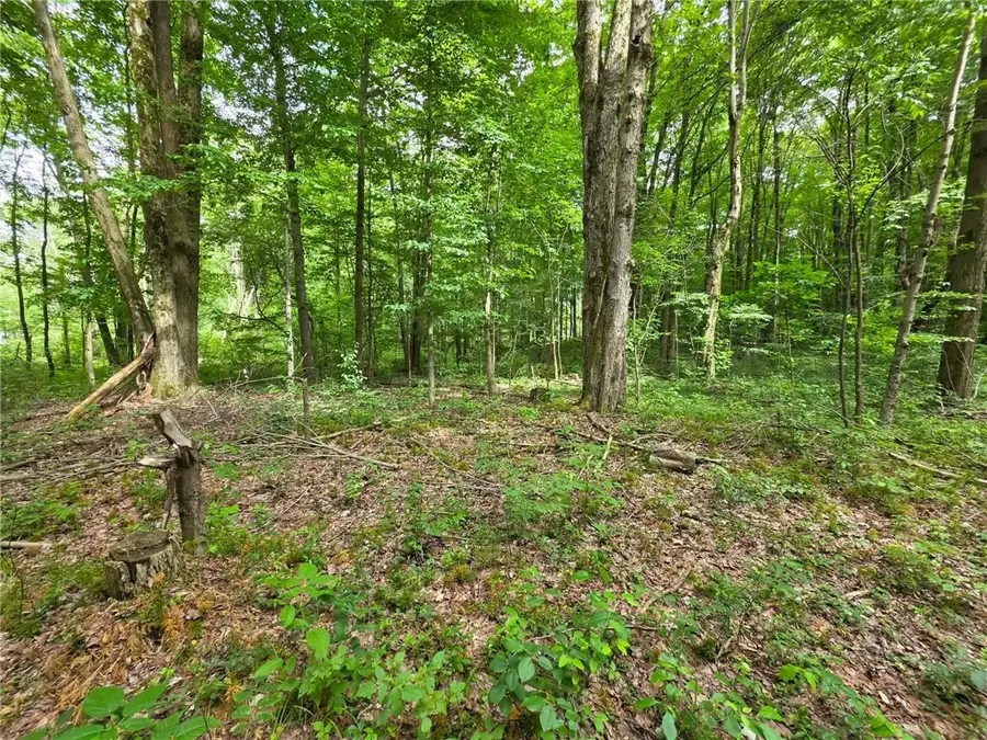 0 Fox Mine Rd, Jackson Center, PA 16133 - #2