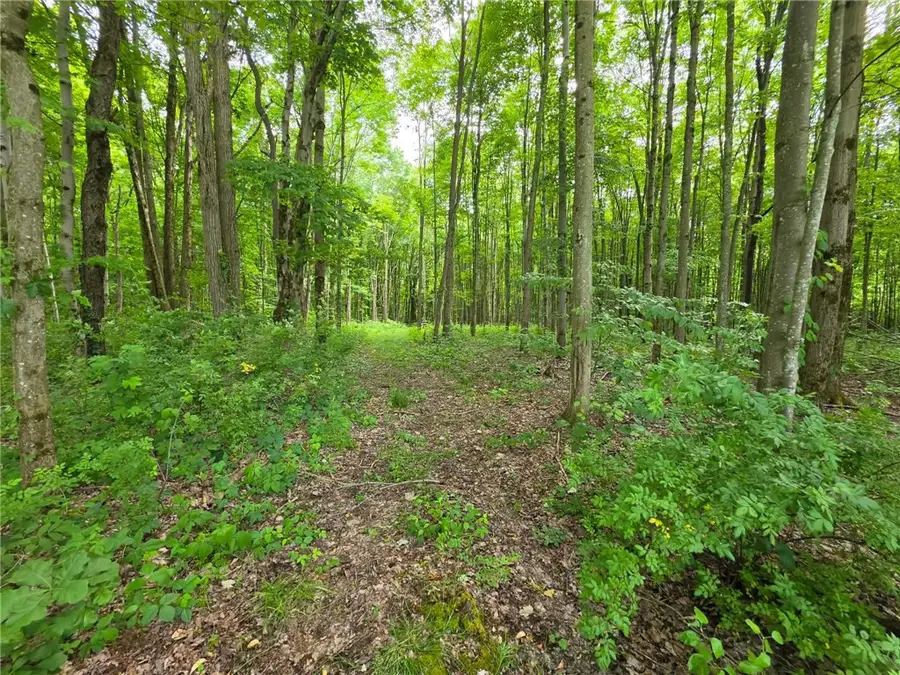0 Fox Mine Rd, Jackson Center, PA 16133 - #3