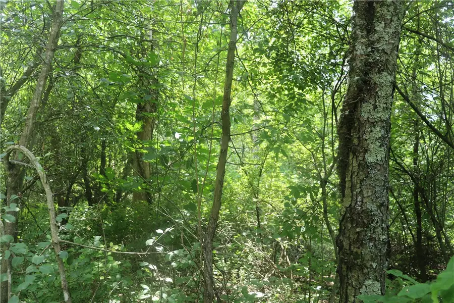 01 Old Distillery Road, Ligonier, PA 15658 - #3