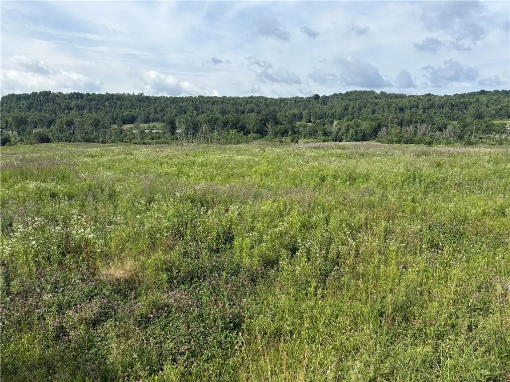 0 Beaver Dam Rd, New Galilee, PA 16141 - #1
