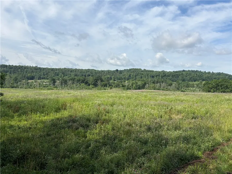 0 Beaver Dam Rd, New Galilee, PA 16141 - #3