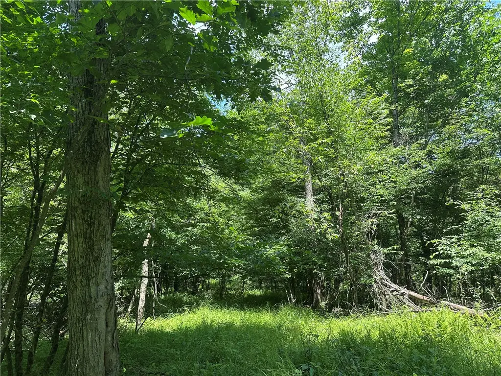 0 Cooperstown Rd, Cooperstown, PA 16317 - #1