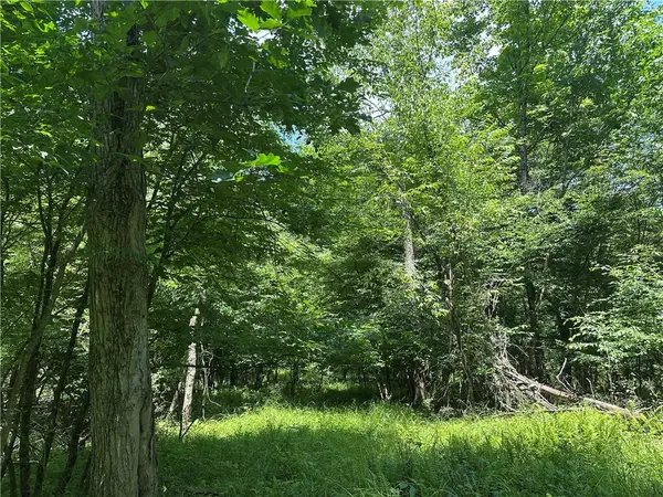 0 Cooperstown Rd, Cooperstown, PA 16317