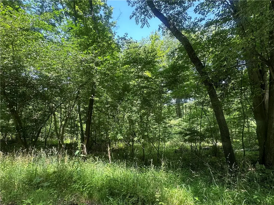 0 Cooperstown Rd, Cooperstown, PA 16317 - #3