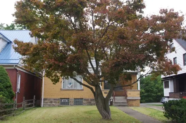 1105 Monroeville Ave., Turtle Creek, PA 15145 - #2