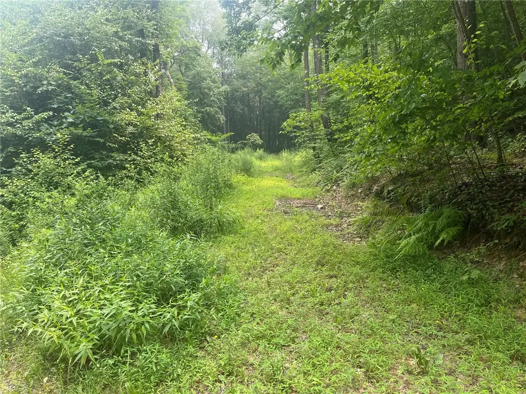 Lot 10 Off Camp Run Rd, Donegal, PA 15628 - #1