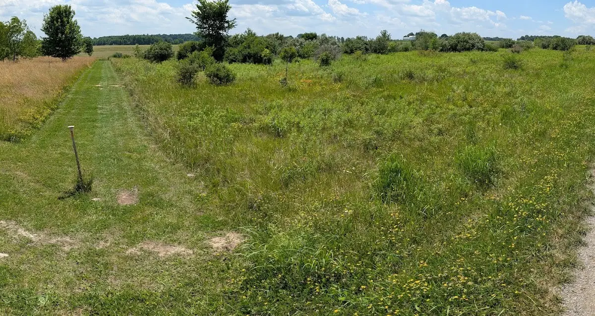 0 Black Rd, Volant, PA 16156 - #1