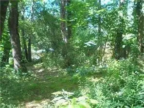 0 Craig St, Beaver Falls, PA 15010 - #3