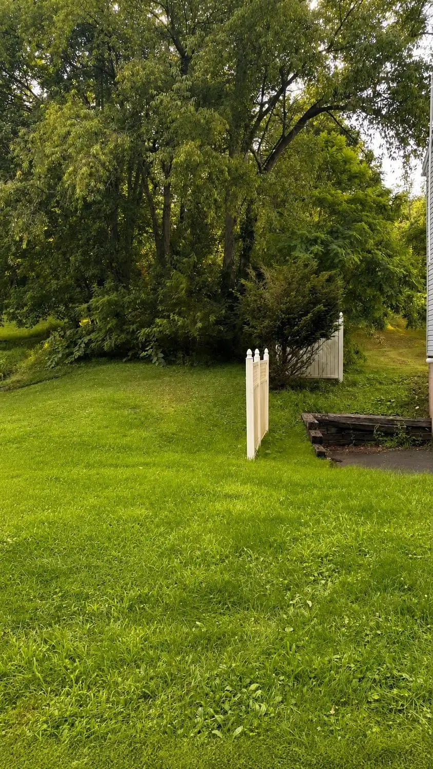 753 Evergreen Road, Leechburg, PA 15656 - #1