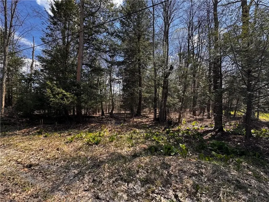 Lot 4 Lake Rd & Danner Drive, Canadohta Lake, PA 16438 - #2