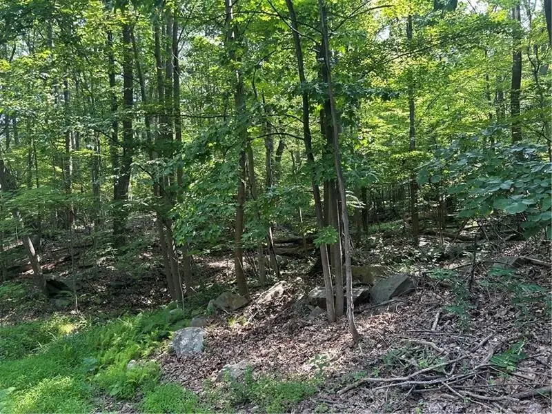 LOT 934 Ski Slope Rd, Acme, PA 15610 - #1