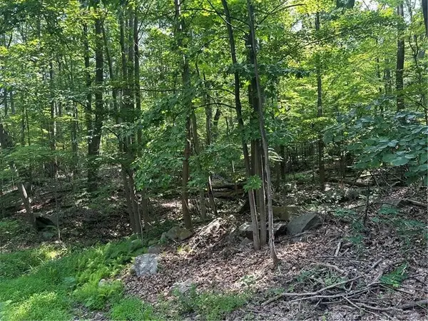 LOT 934 Ski Slope Rd, Acme, PA 15610