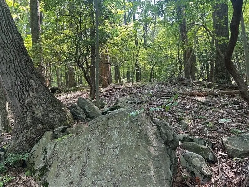 LOT 934 Ski Slope Rd, Acme, PA 15610 - #2