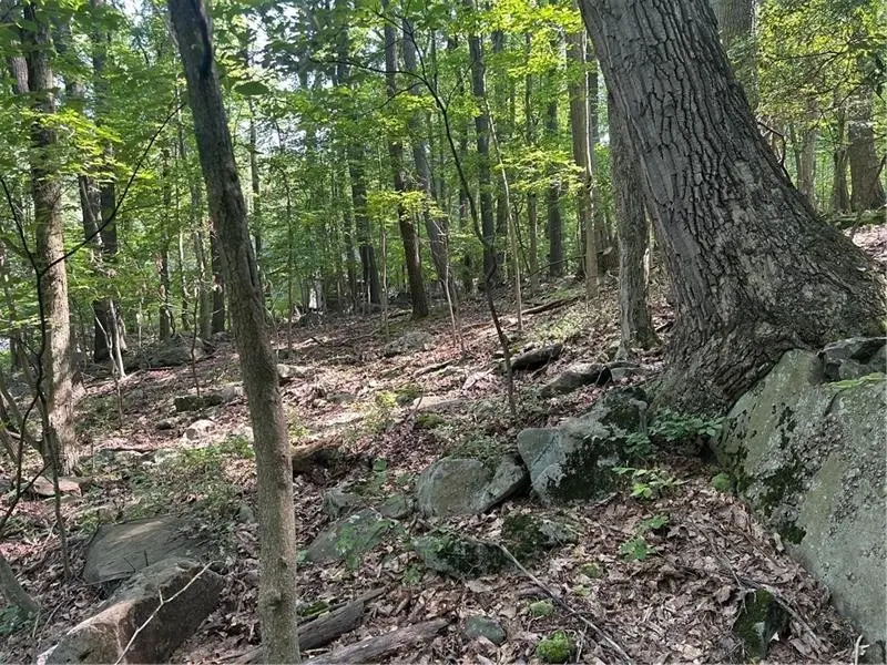 LOT 934 Ski Slope Rd, Acme, PA 15610 - #3