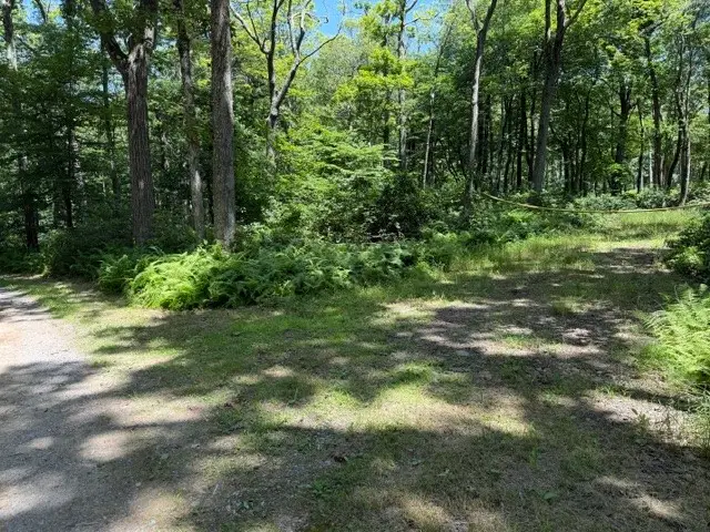 Lot 87 Laurel, Central City, PA 15926 - #2