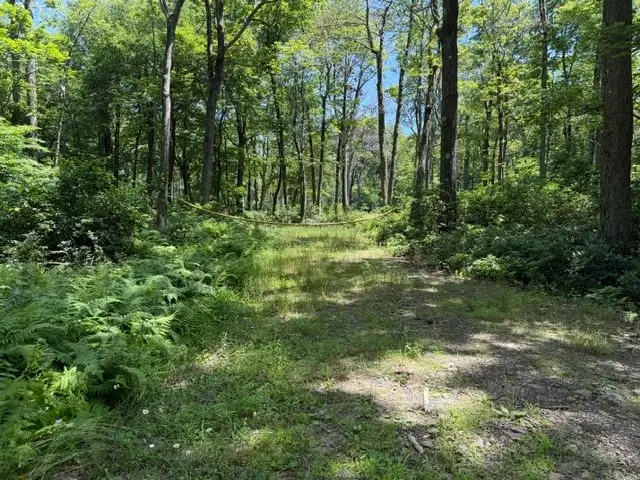 Lot 87 Laurel, Central City, PA 15926 - #3