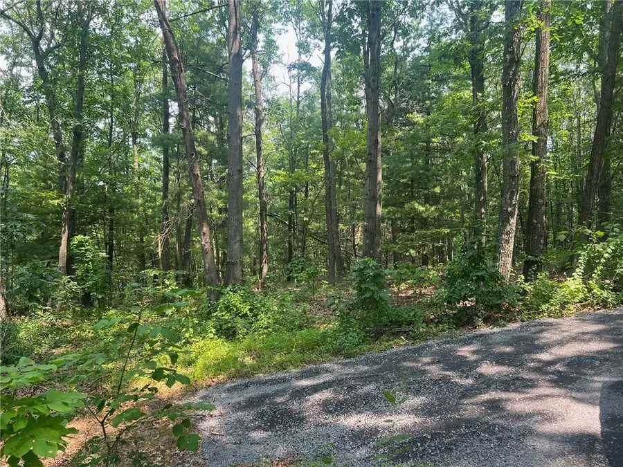 6927 Chaneysville Rd, Clearville, PA 15535 - #3