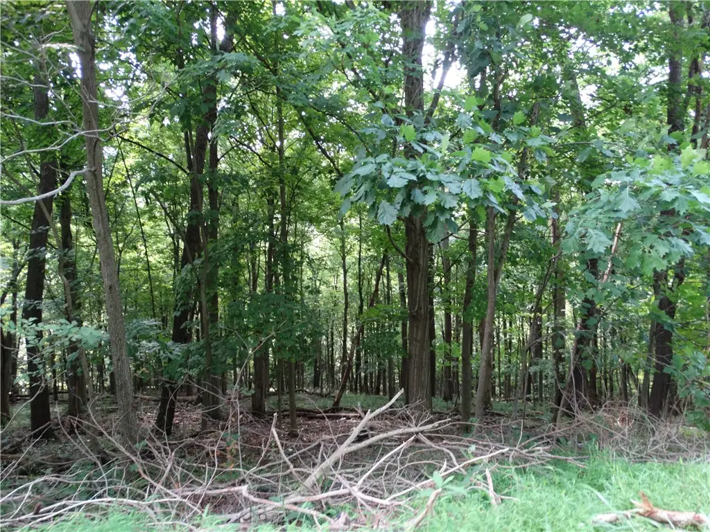 00 & 02 Moscow Rd, Amity, PA 15311 - #1