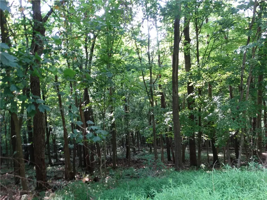 00 & 02 Moscow Rd, Amity, PA 15311 - #2