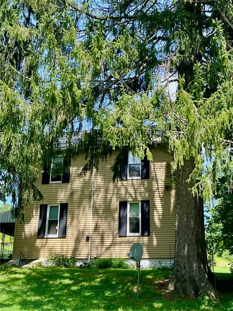 309 Long Run Rd, Avonmore, PA 15618 - #2