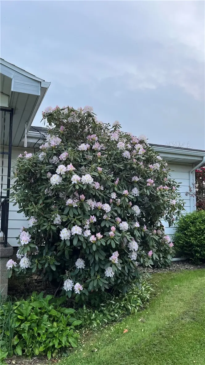 1416 Hawthorne St, Connellsville, PA 15425 - #3