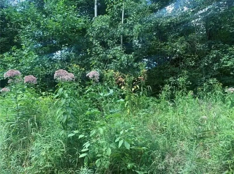 Lot 2b & 4 Vickerman Rd, Mercer, PA 16137 - #1