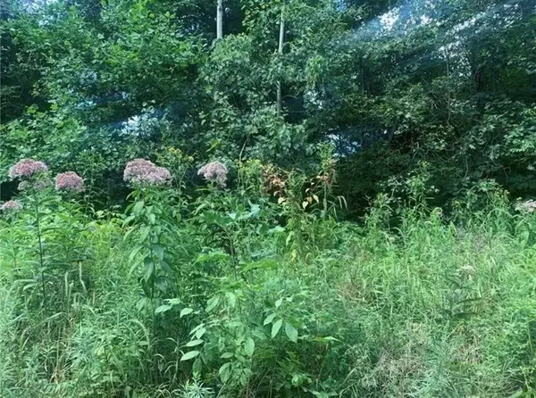 Lot 2b & 4 Vickerman Rd, Mercer, PA 16137