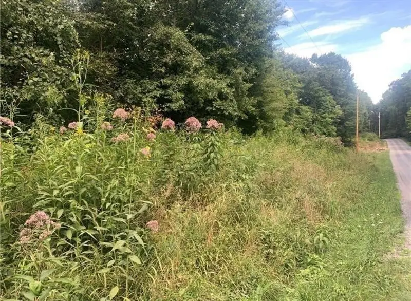 Lot 2b & 4 Vickerman Rd, Mercer, PA 16137 - #3