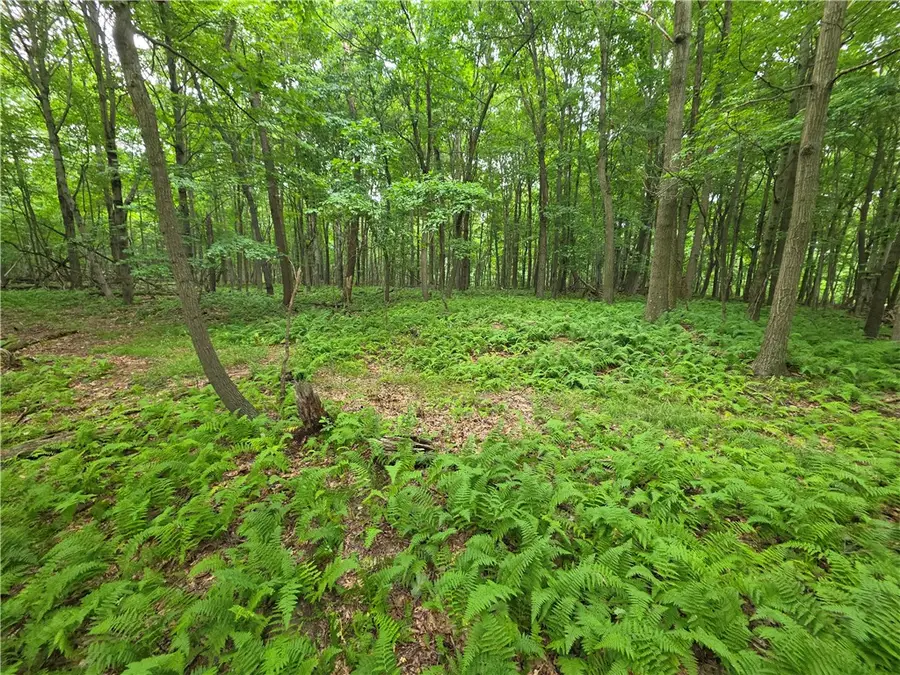 0 Mudlick Hollow Rd, Beaver, PA 15009 - #2