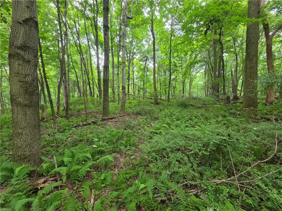 0 Mudlick Hollow Rd, Beaver, PA 15009 - #3