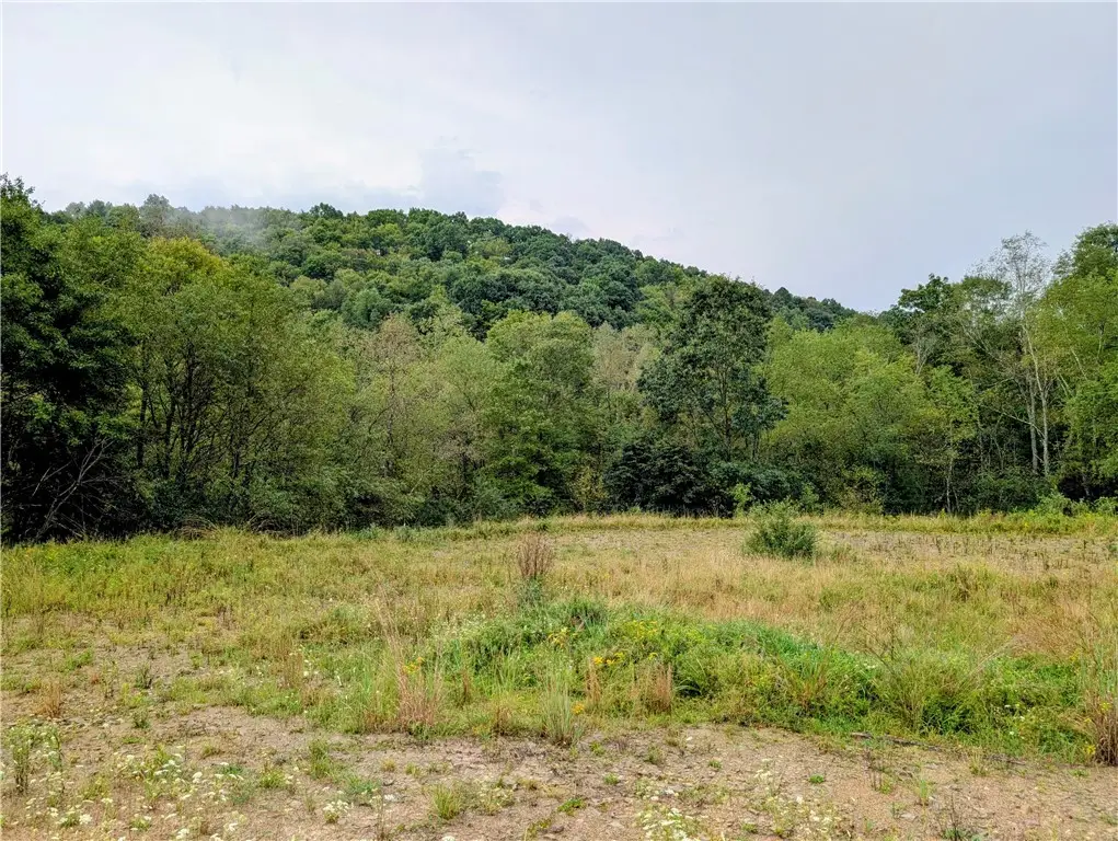 0 Little Rock Rd, Kittanning, PA 16201 - #1