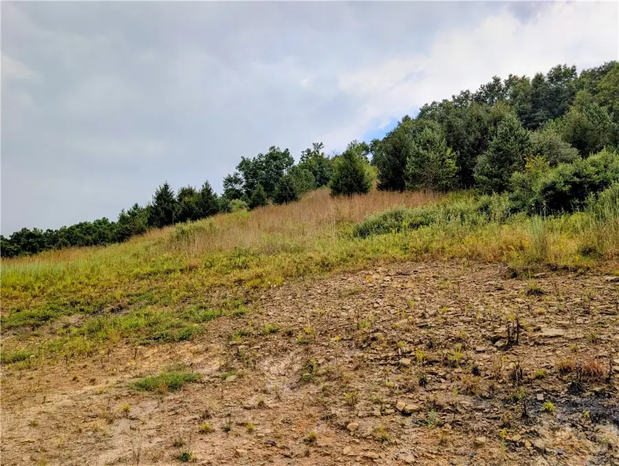 0 Little Rock Rd, Kittanning, PA 16201 - #2