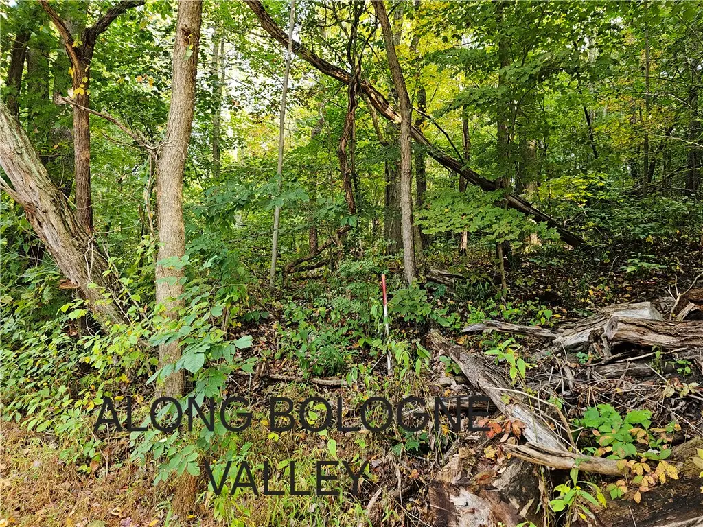0 Bologne Valley Road, Beaver Falls, PA 15010 - #1