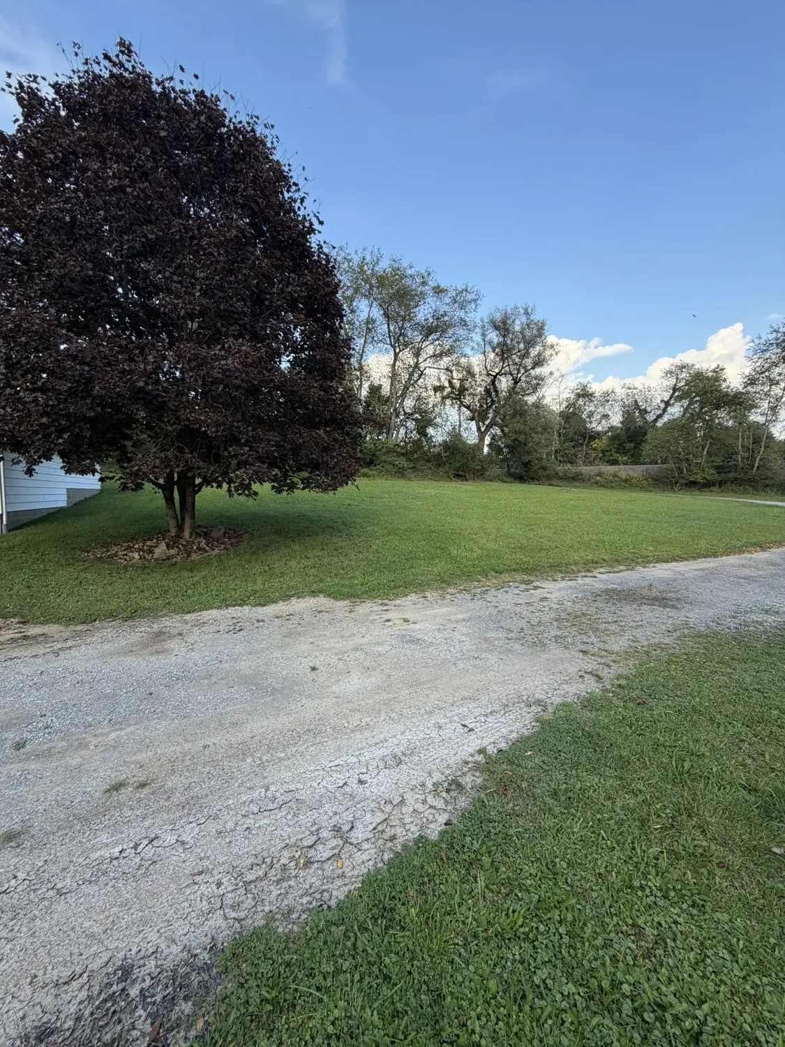 113 Railroad Street, Chicora, PA 16025 - #1