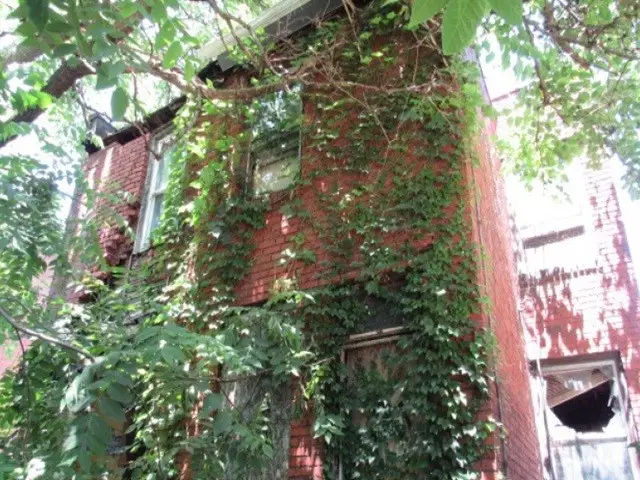 1215 W North Ave, Pittsburgh, PA 15233 - #2