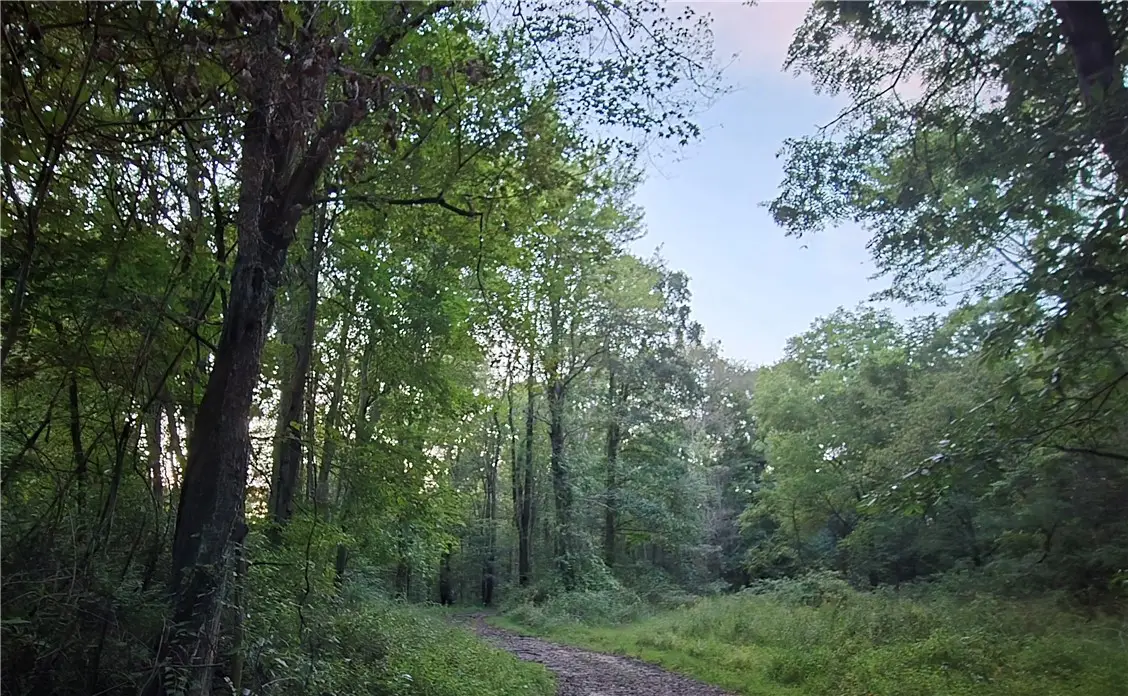 Lot 2 Taggert Road Crolls Mill Rd, Slippery Rock, PA 16057 - #1