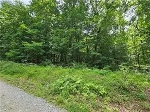 Lot 17/18 Tanager, New Alexandria, PA 15670