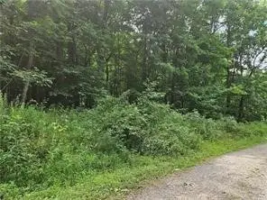 Lot 17/18 Tanager, New Alexandria, PA 15670 - #2