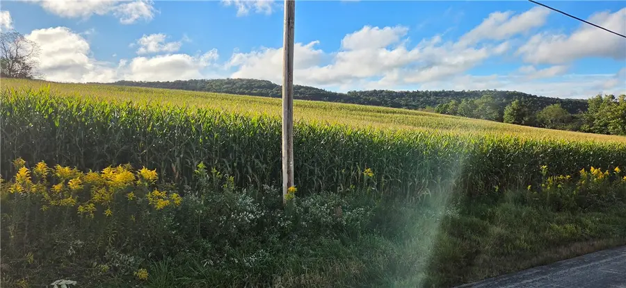 00 W Bakersville Edie Road, Somerset, PA 15501 - #3