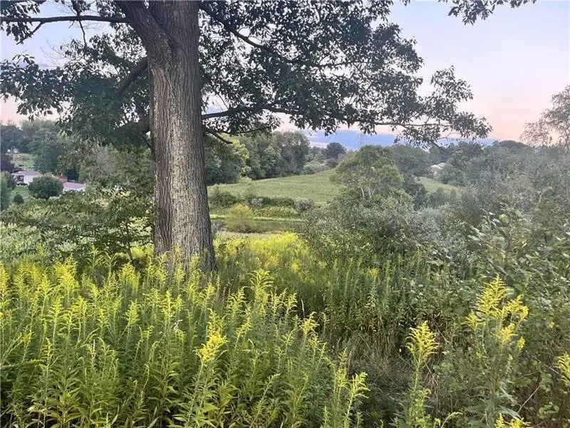 Lot #2 Saxonburg Rd, Butler, PA 16002 - #3